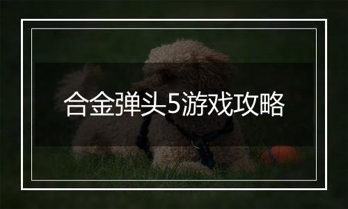 合金弹头5游戏攻略