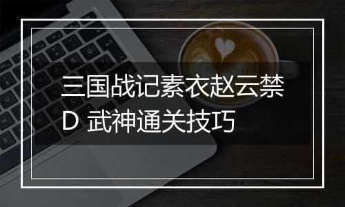 三国战记素衣赵云禁D 武神通关技巧