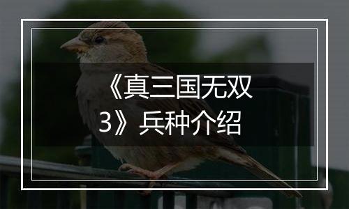 《真三国无双3》兵种介绍