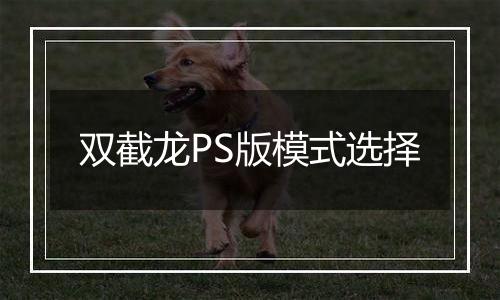 双截龙PS版模式选择