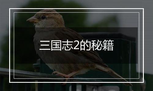 三国志2的秘籍