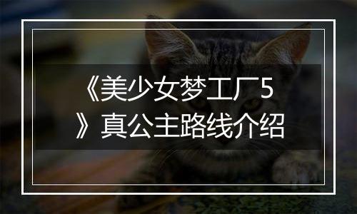 《美少女梦工厂5》真公主路线介绍
