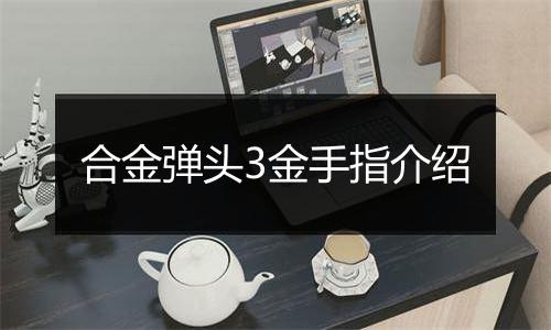 合金弹头3金手指介绍