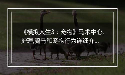 《模拟人生3：宠物》马术中心,护理,骑马和宠物行为详细介绍