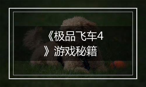 《极品飞车4》游戏秘籍