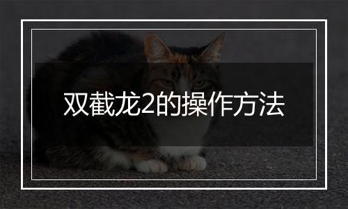 双截龙2的操作方法