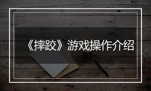 《摔跤》游戏操作介绍