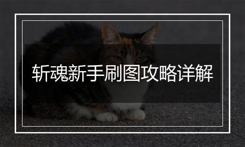 斩魂新手刷图攻略详解