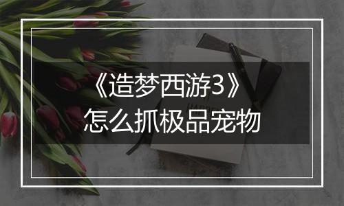 《造梦西游3》怎么抓极品宠物