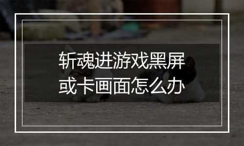 斩魂进游戏黑屏或卡画面怎么办