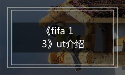 《fifa 13》ut介绍