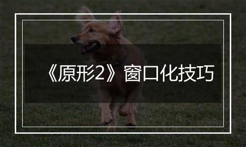 《原形2》窗口化技巧