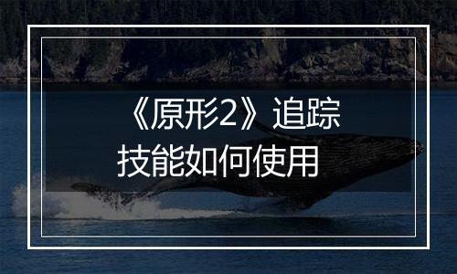 《原形2》追踪技能如何使用