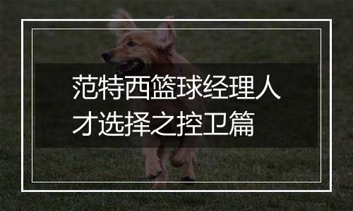 范特西篮球经理人才选择之控卫篇