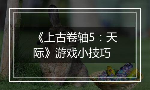 《上古卷轴5：天际》游戏小技巧