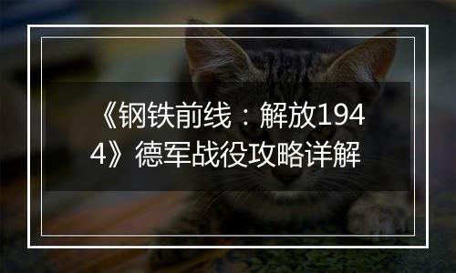 《钢铁前线：解放1944》德军战役攻略详解