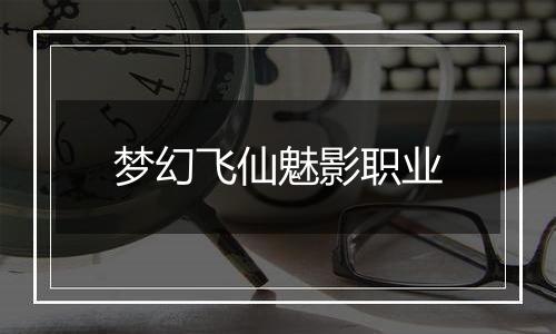 梦幻飞仙魅影职业