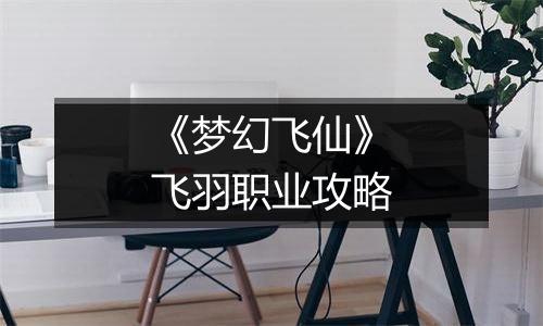 《梦幻飞仙》飞羽职业攻略