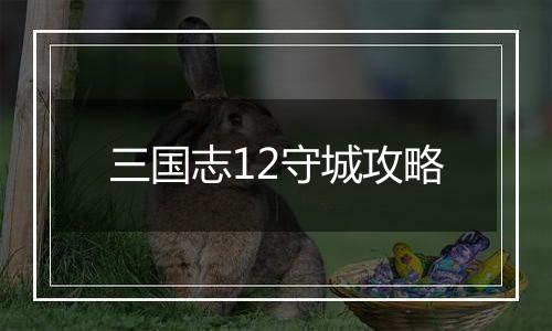 三国志12守城攻略