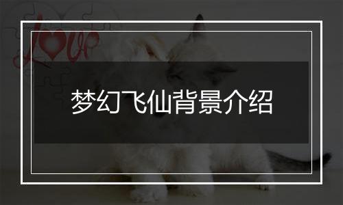 梦幻飞仙背景介绍