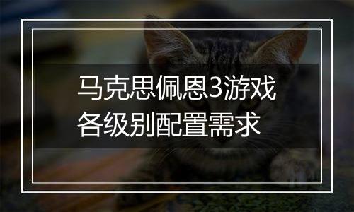 马克思佩恩3游戏各级别配置需求