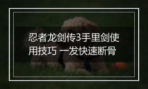 忍者龙剑传3手里剑使用技巧 一发快速断骨