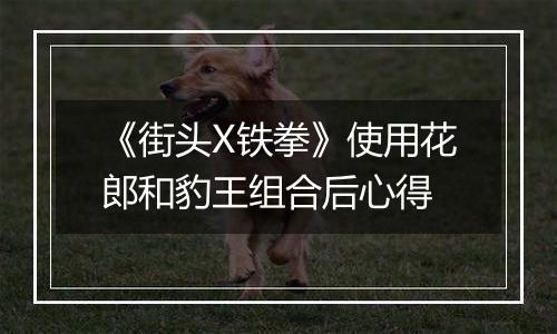 《街头X铁拳》使用花郎和豹王组合后心得