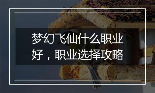 梦幻飞仙什么职业好，职业选择攻略