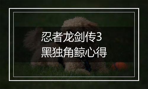忍者龙剑传3黑独角鲸心得