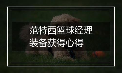 范特西篮球经理装备获得心得