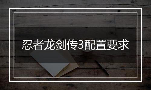 忍者龙剑传3配置要求