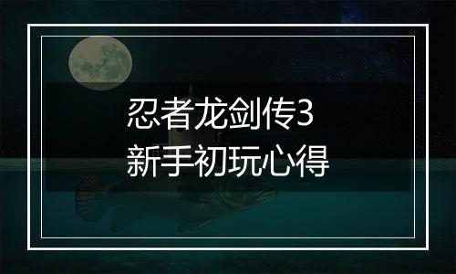 忍者龙剑传3新手初玩心得