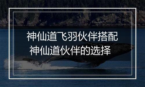 神仙道飞羽伙伴搭配 神仙道伙伴的选择