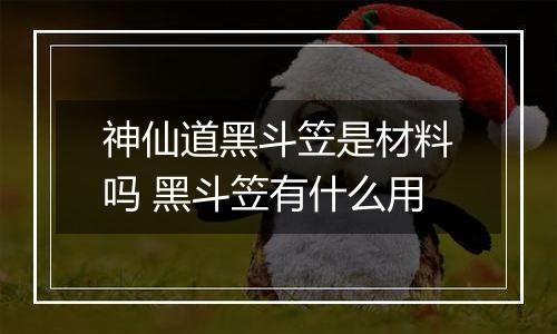 神仙道黑斗笠是材料吗 黑斗笠有什么用