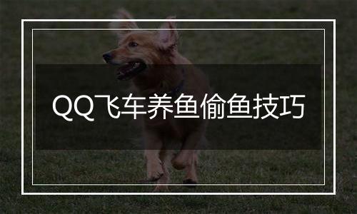 QQ飞车养鱼偷鱼技巧