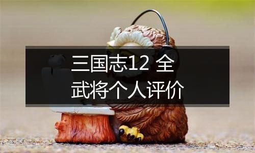 三国志12 全武将个人评价