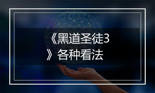 《黑道圣徒3》各种看法