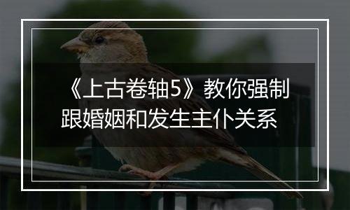 《上古卷轴5》教你强制跟婚姻和发生主仆关系