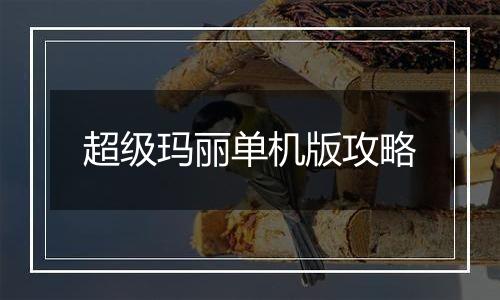 超级玛丽单机版攻略