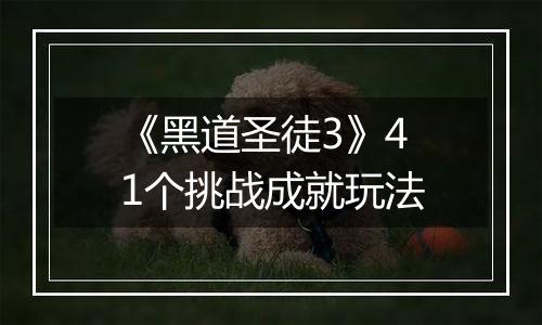 《黑道圣徒3》41个挑战成就玩法