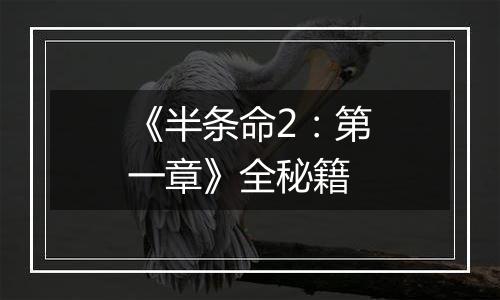 《半条命2：第一章》全秘籍