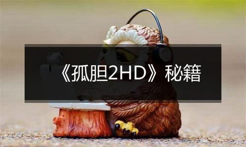 《孤胆2HD》秘籍