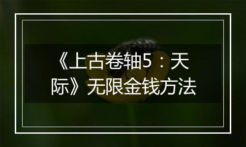 《上古卷轴5：天际》无限金钱方法