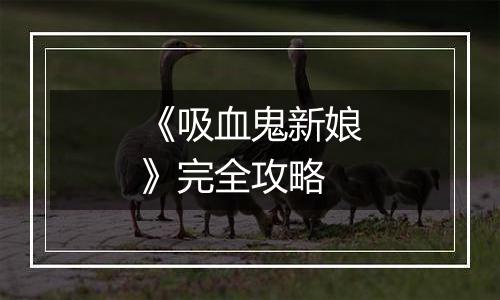 《吸血鬼新娘》完全攻略