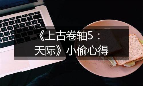 《上古卷轴5：天际》小偷心得