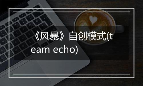 《风暴》自创模式(team echo)