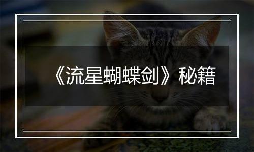 《流星蝴蝶剑》秘籍