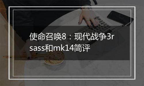 使命召唤8：现代战争3rsass和mk14简评