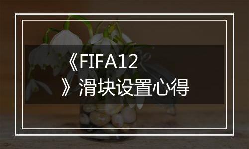 《FIFA12》滑块设置心得