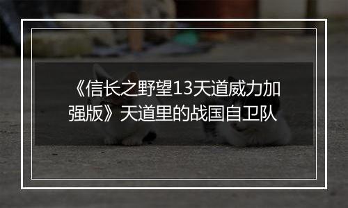 《信长之野望13天道威力加强版》天道里的战国自卫队